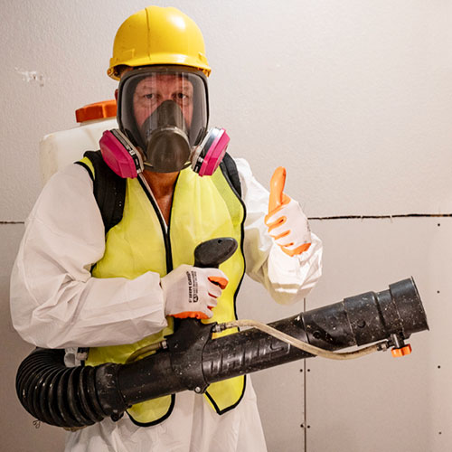 mold remediation